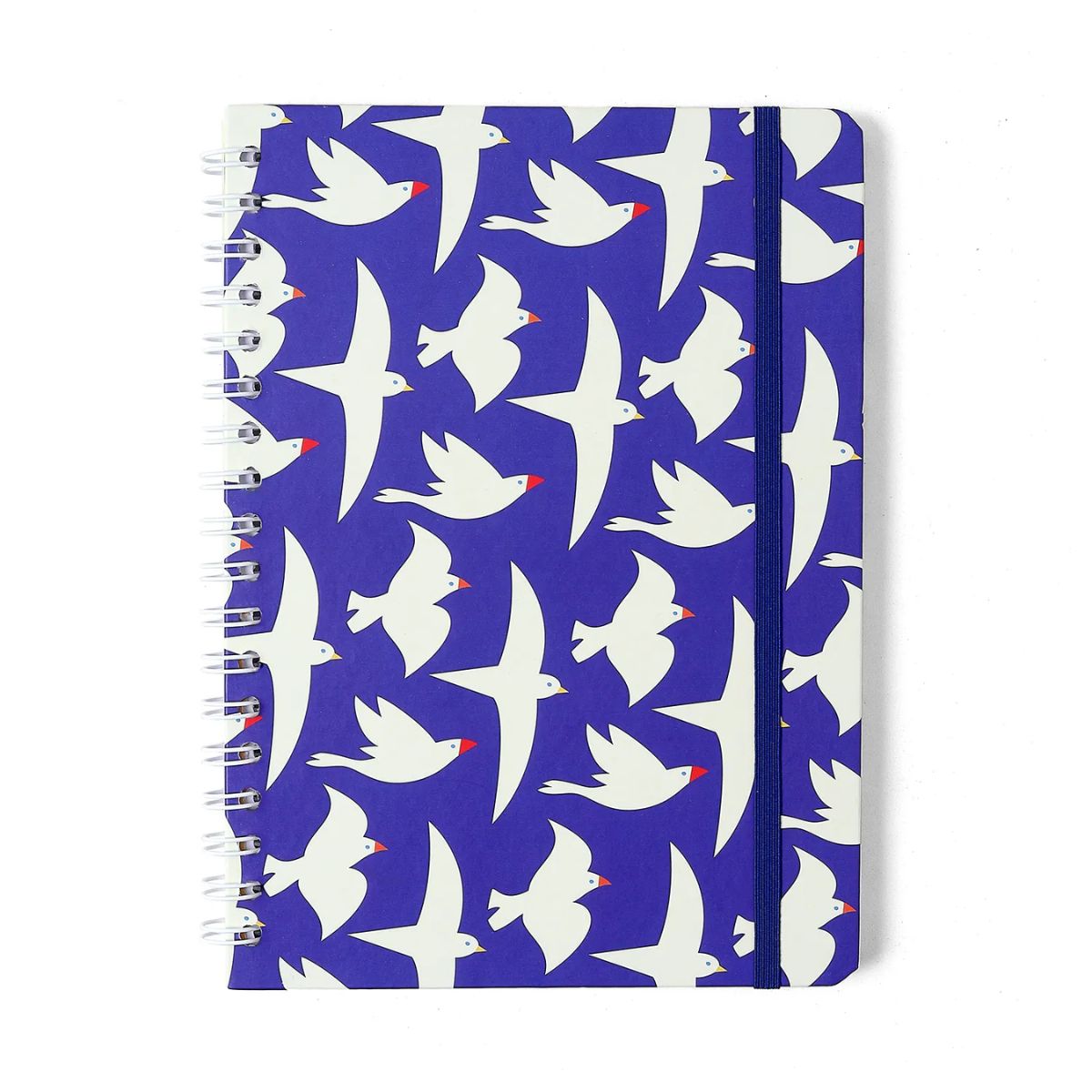 Caderno Colegial Espiral Cicero 17x24cm 80 Folhas Pautado - Revoada Azul Cicero