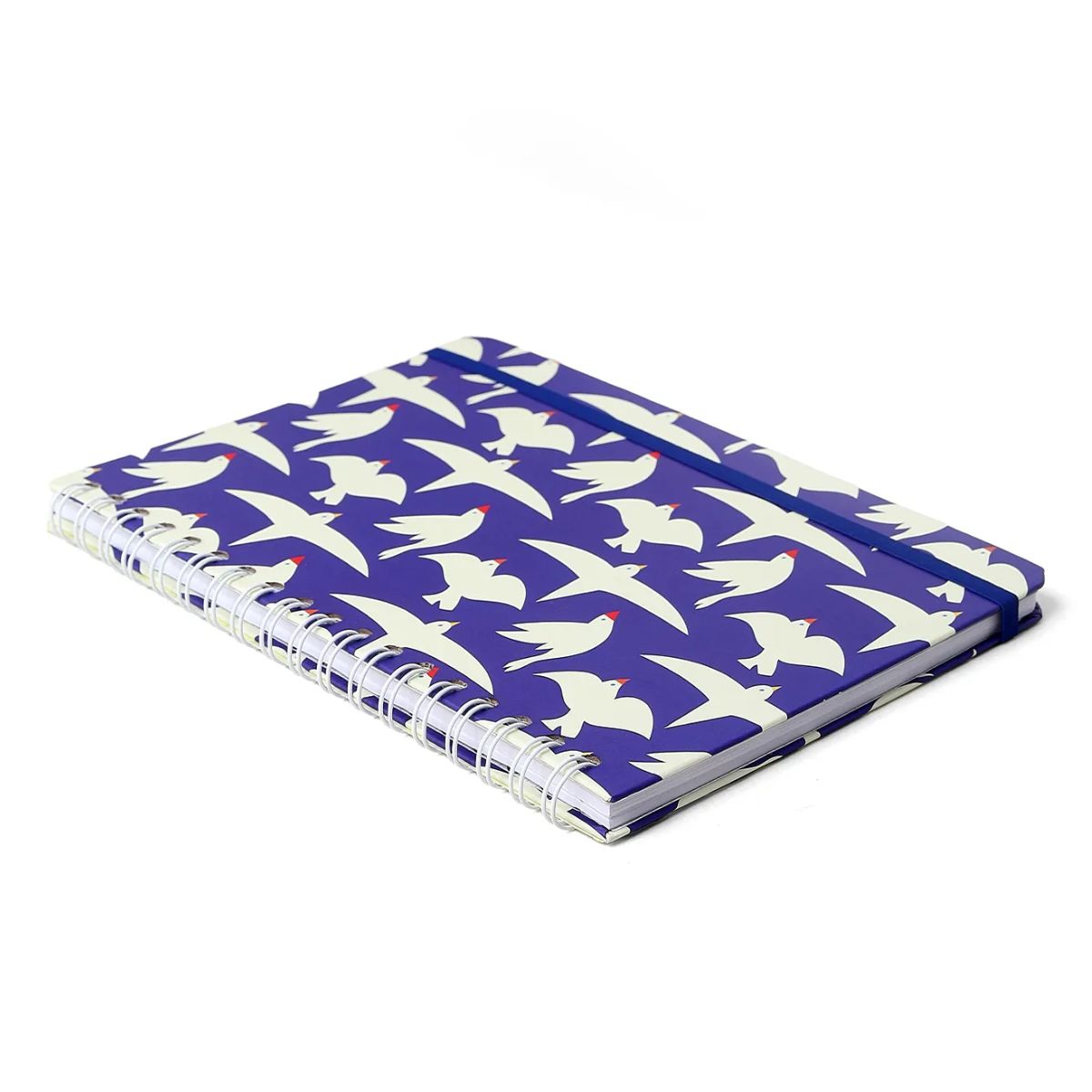 Caderno Colegial Espiral Cicero 17x24cm 80 Folhas Pautado - Revoada Azul Cicero