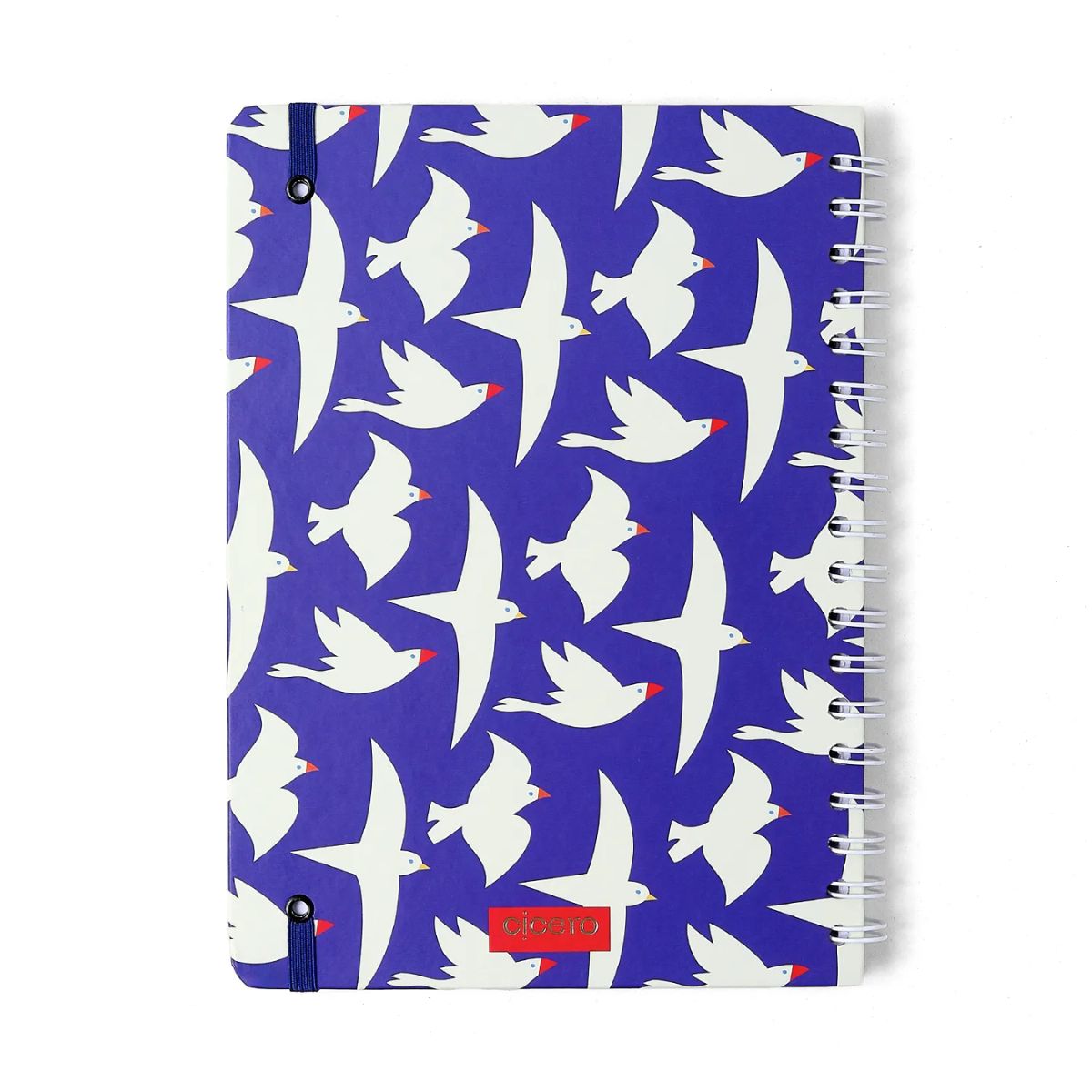 Caderno Colegial Espiral Cicero 17x24cm 80 Folhas Pautado - Revoada Azul Cicero