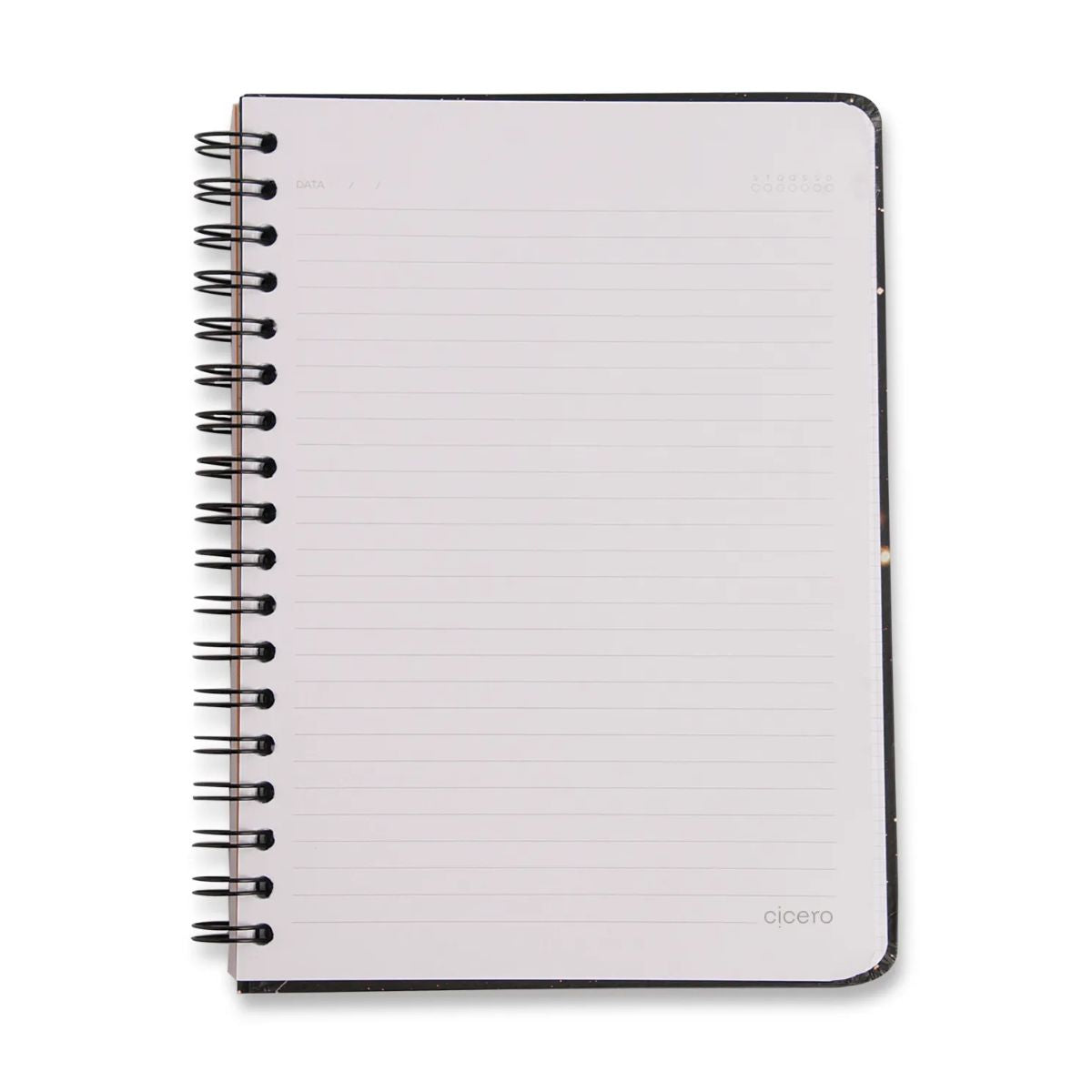 Caderno Colegial Espiral Cicero 17x24cm 80 Folhas Pautado - Lagoa Cisne Floral Verde Cicero