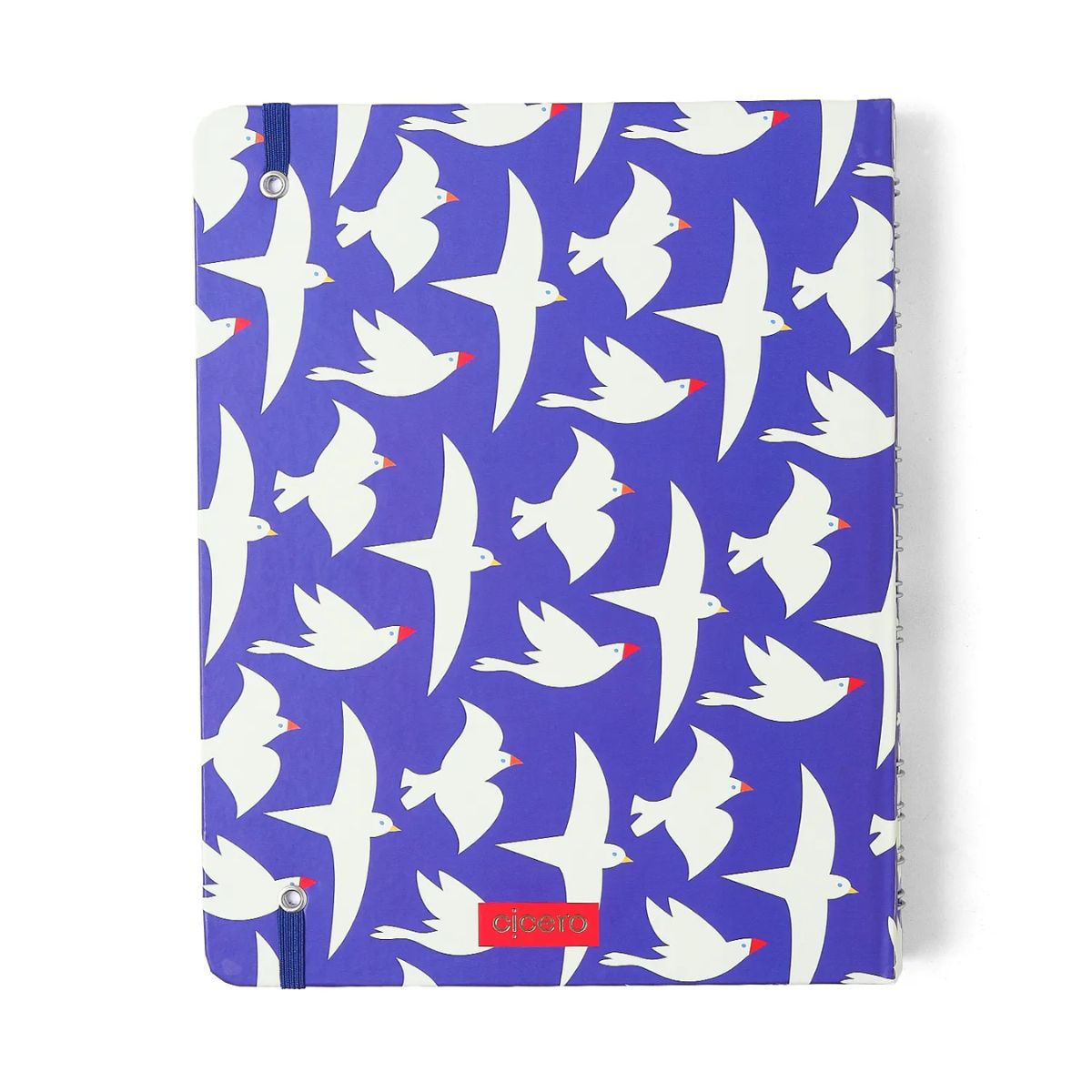 Caderno Criativo Argolado Cicero 17x24cm 90 Folhas Litoral Revoada Azul