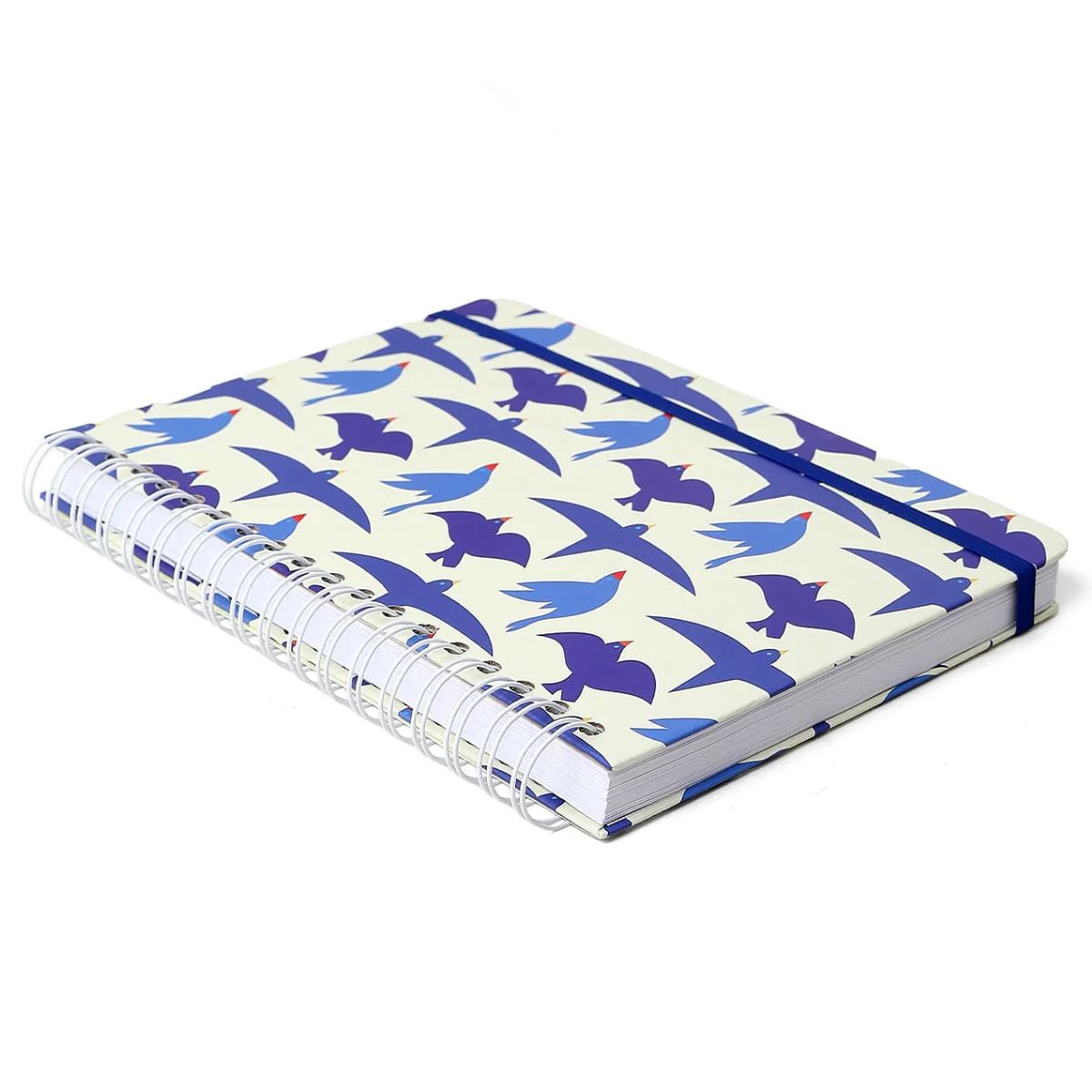 Caderno Colegial Espiral Cicero 17x24cm 160 Folhas - Litoral Revoada Off White Cicero