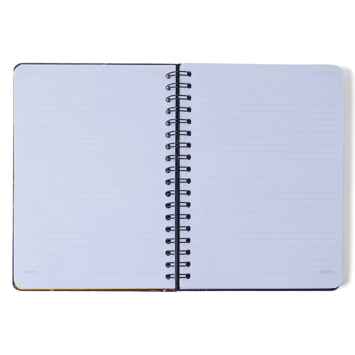 Caderno Colegial Espiral Cicero 17x24cm 160 Folhas - Lagoa Passeio dos Cisnes Cicero