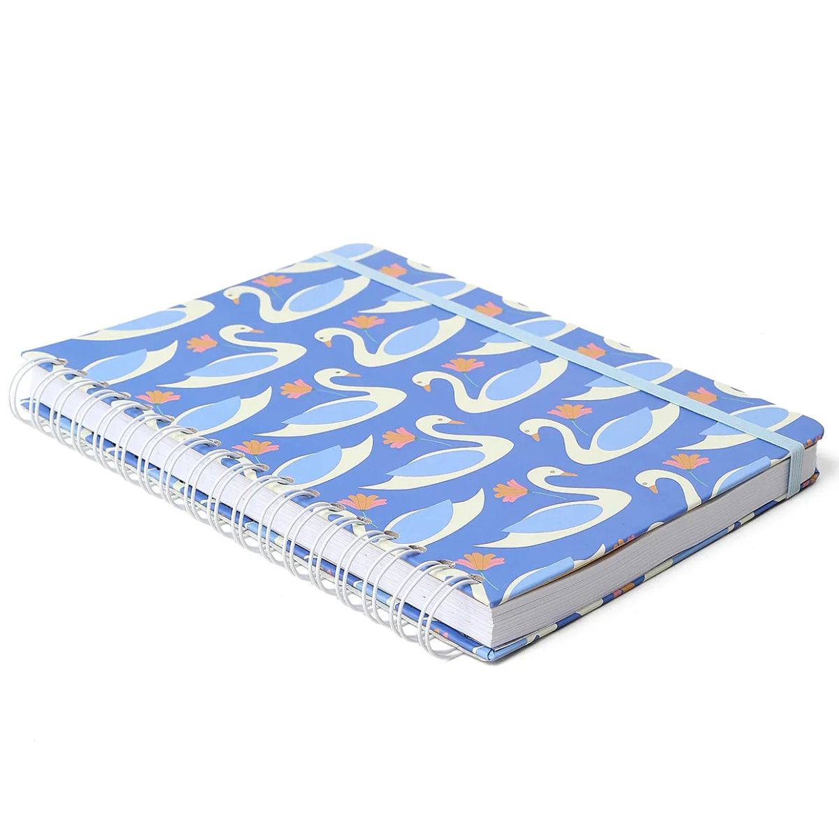 Caderno Colegial Espiral Cicero 17x24cm 160 Folhas - Lagoa Passeio dos Cisnes Cicero