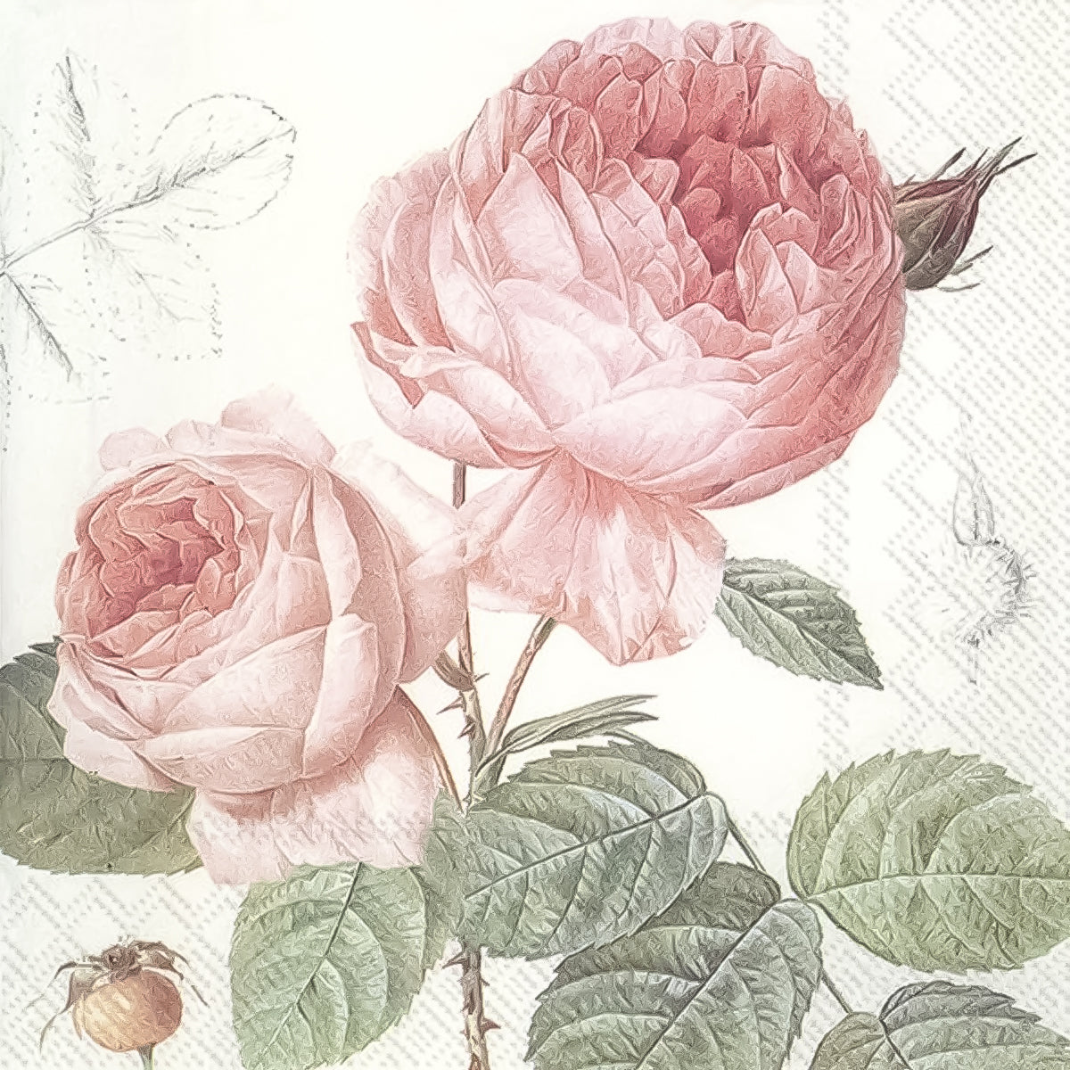 Guardanapo para Decoupage Ihr 33x33 Rosas Elisabeth C/ 20 Unidade