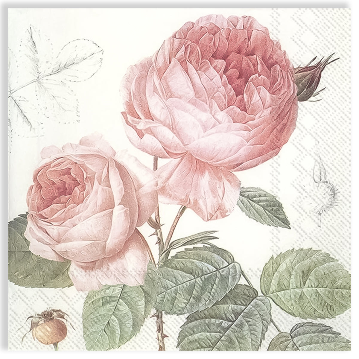 Guardanapo para Decoupage Ihr 33x33cm com 2 Unidades - Rosas Elisabeth