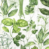 Guardanapo para Decoupage Ihr 33x33 Variedade de Ervas C/ 20 Unidade