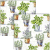 Guardanapo para Decoupage Ihr 33x33cm com 2 Unidades - Ervas Aromáticas