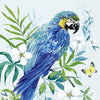 Guardanapo para Decoupage Ihr 33x33 Papagaio Azul C/ 20 Unidade