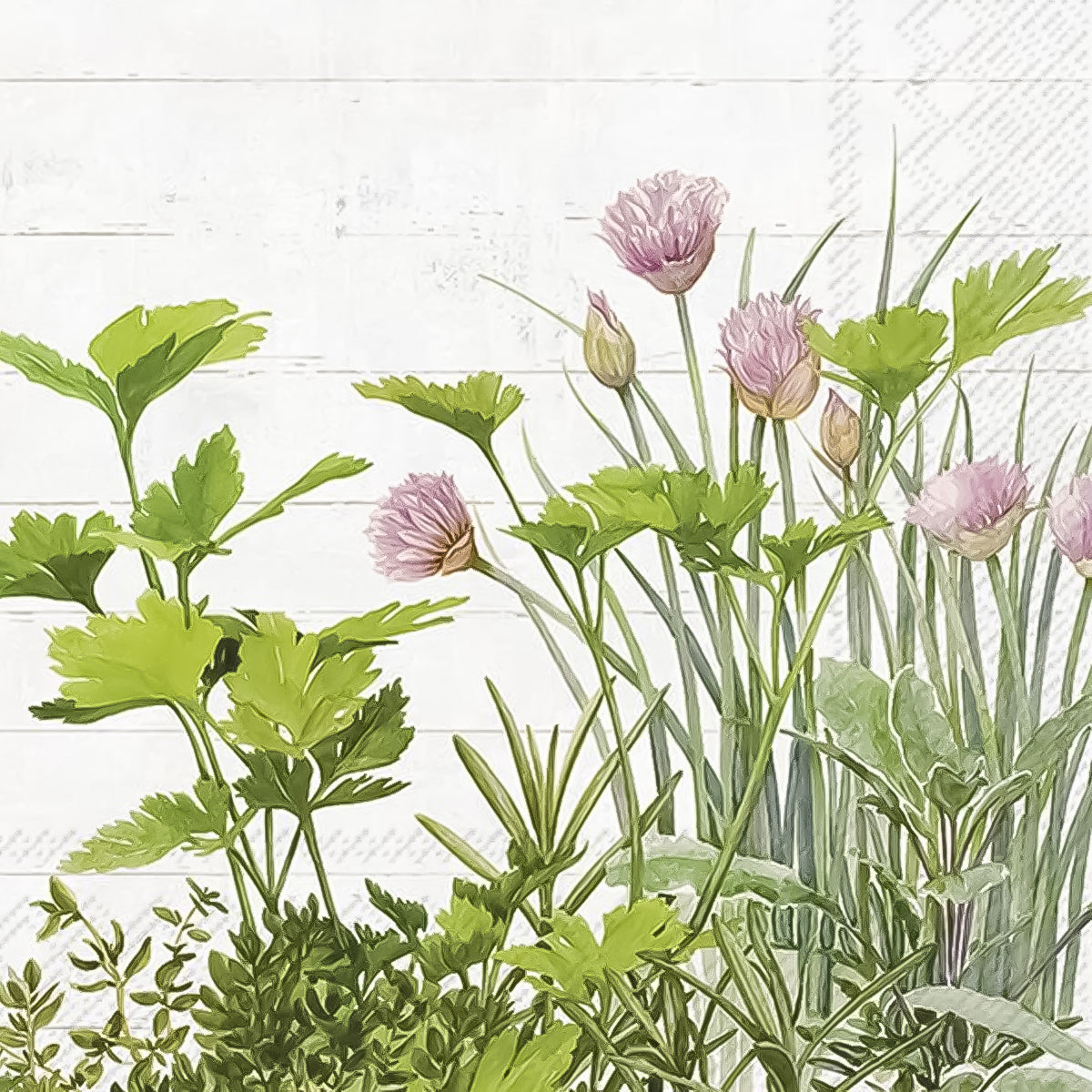 Guardanapo para Decoupage Ihr 33x33 Plantas Ervas Naturais C/ 20 Unidade