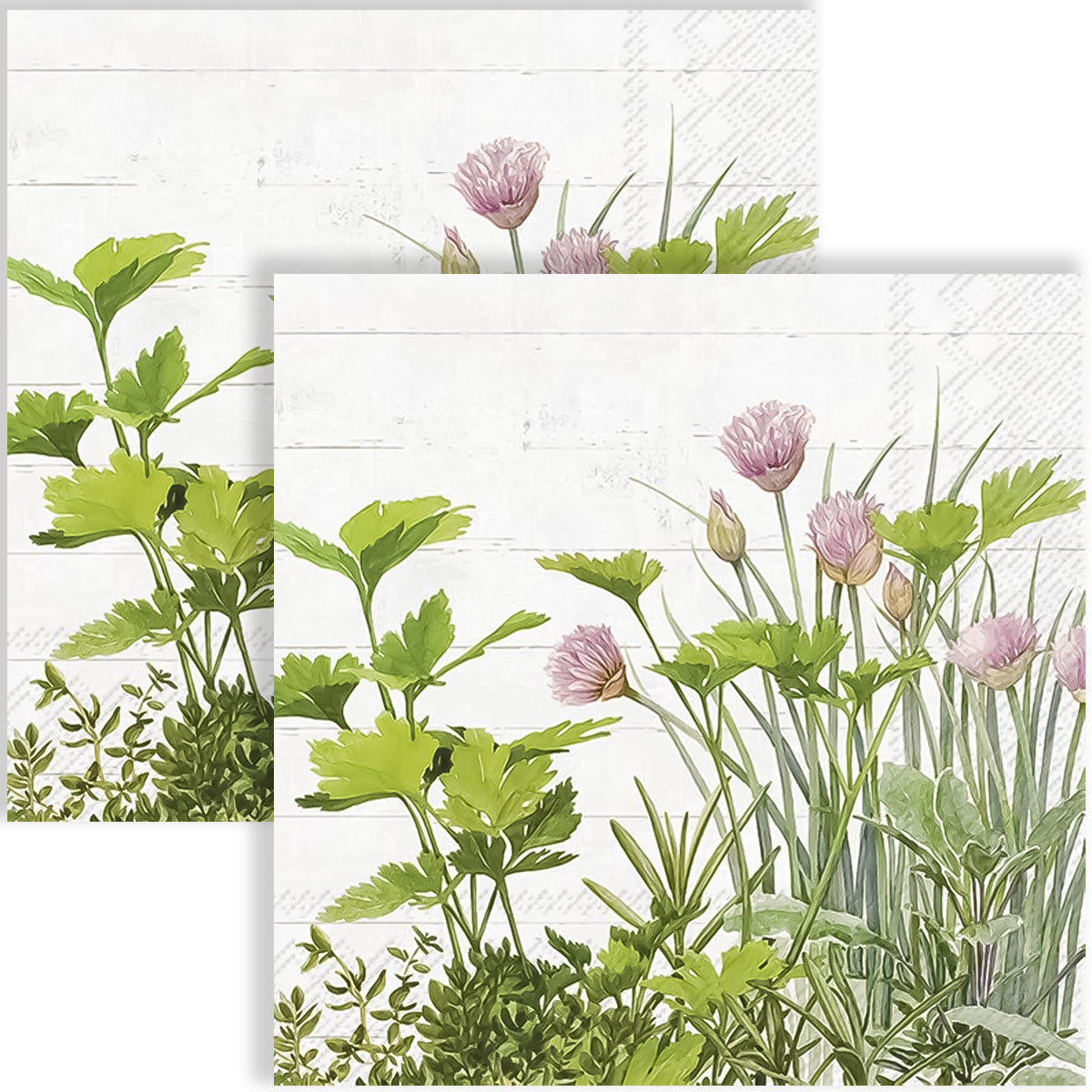 Guardanapo para Decoupage Ihr 33x33cm com 2 Unidades - Plantas Naturais