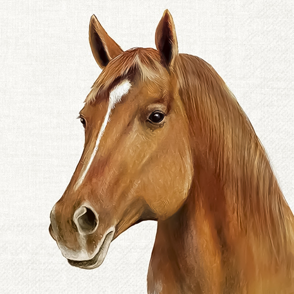 Guardanapo para Decoupage Ihr 33x33 Cavalo C/ 20 Unidade