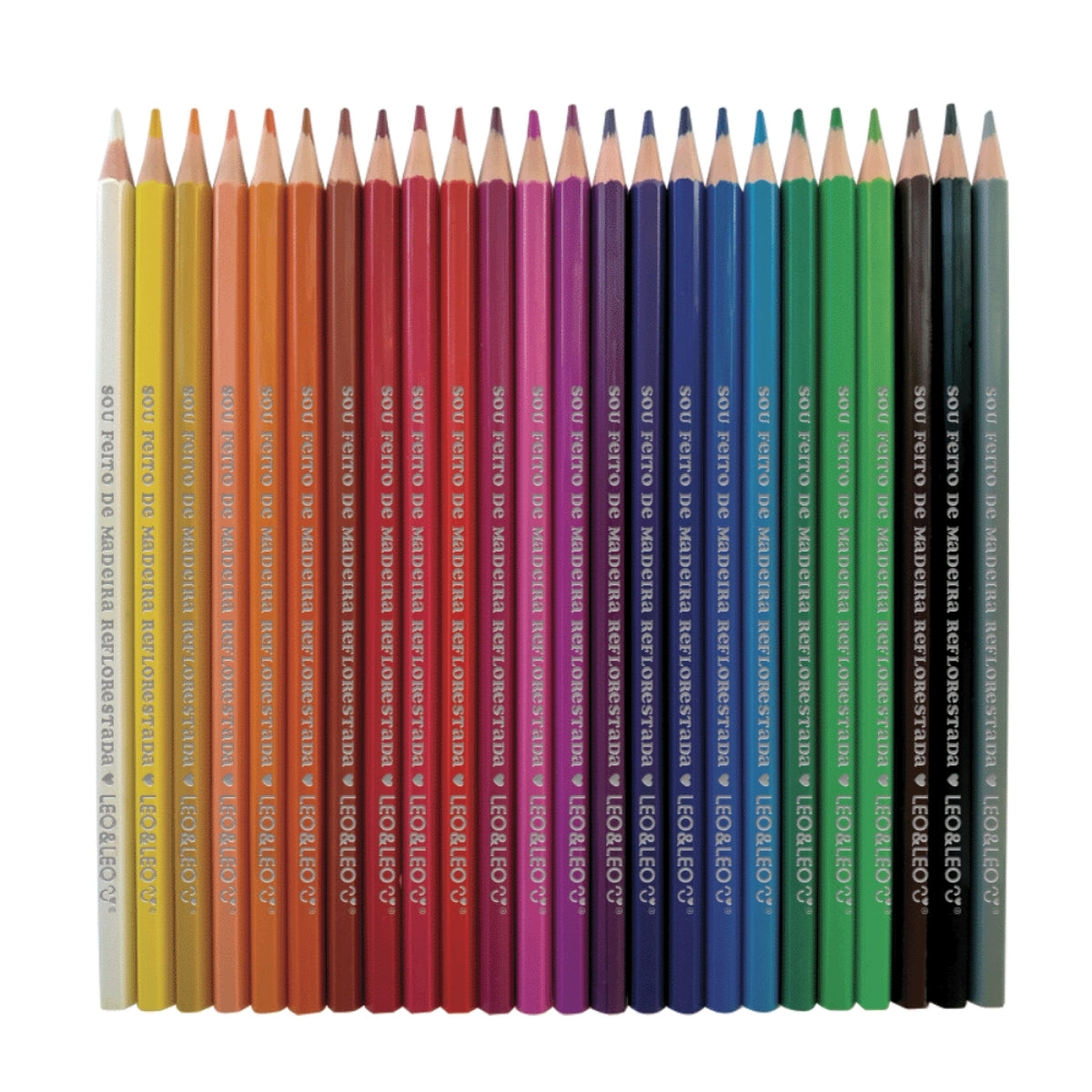 Lápis de Cor de Madeira com 24 Cores Sextavado - Leo & Leo 10271