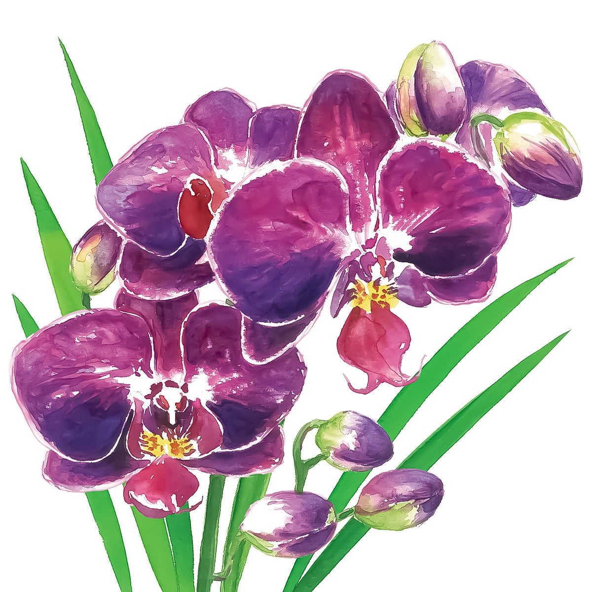Guardanapo para Decoupage Ambiente 33x33cm com 20 Unidades - Orquídea
