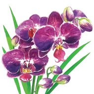 Guardanapo para Decoupage Ambiente 33x33cm com 20 Unidades - Orquídea