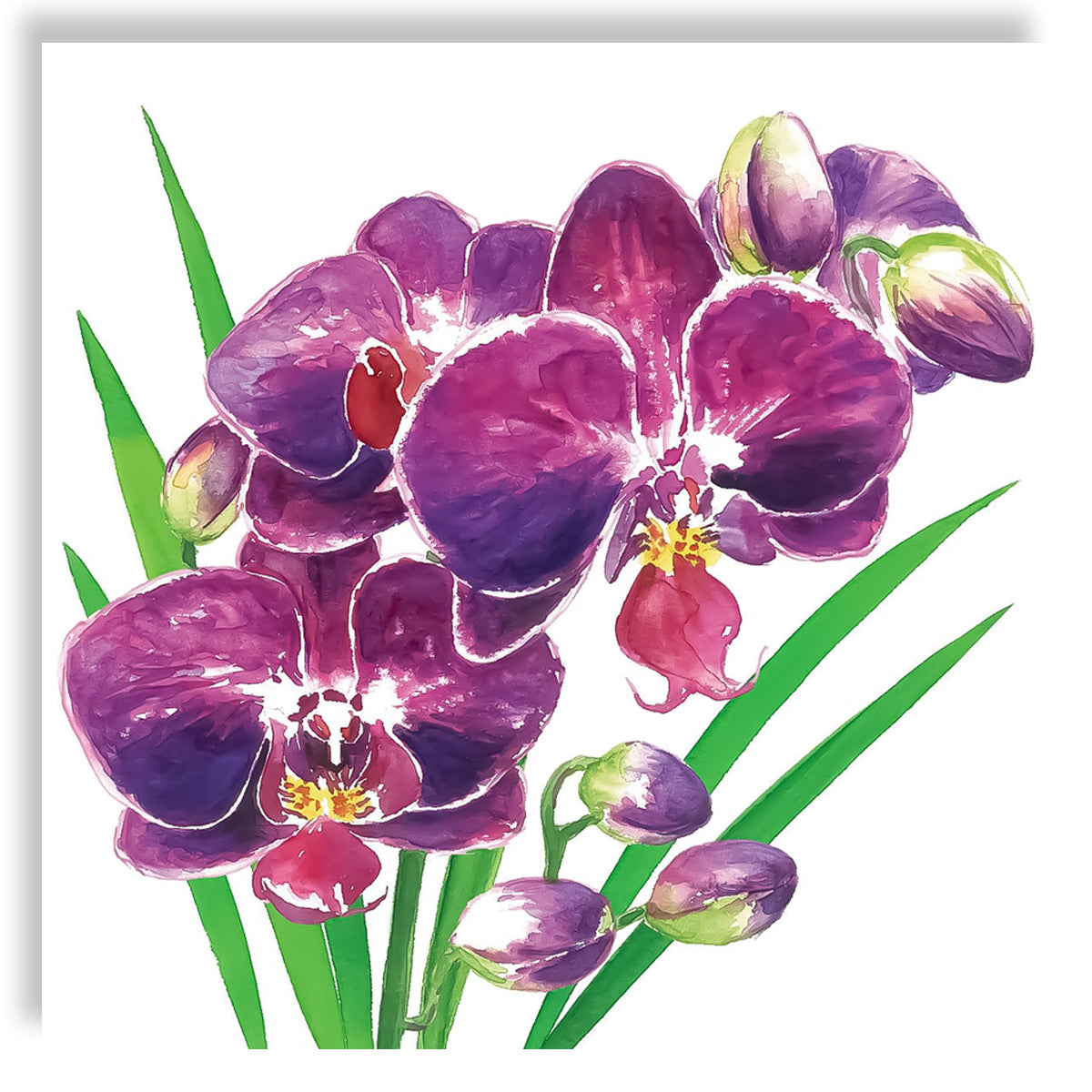 Guardanapo para Decoupage Ambiente 33x33cm com 20 Unidades - Orquídea