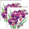 Guardanapo para Decoupage Ambiente 33x33cm com 2 Unidades - Flores Orquídea
