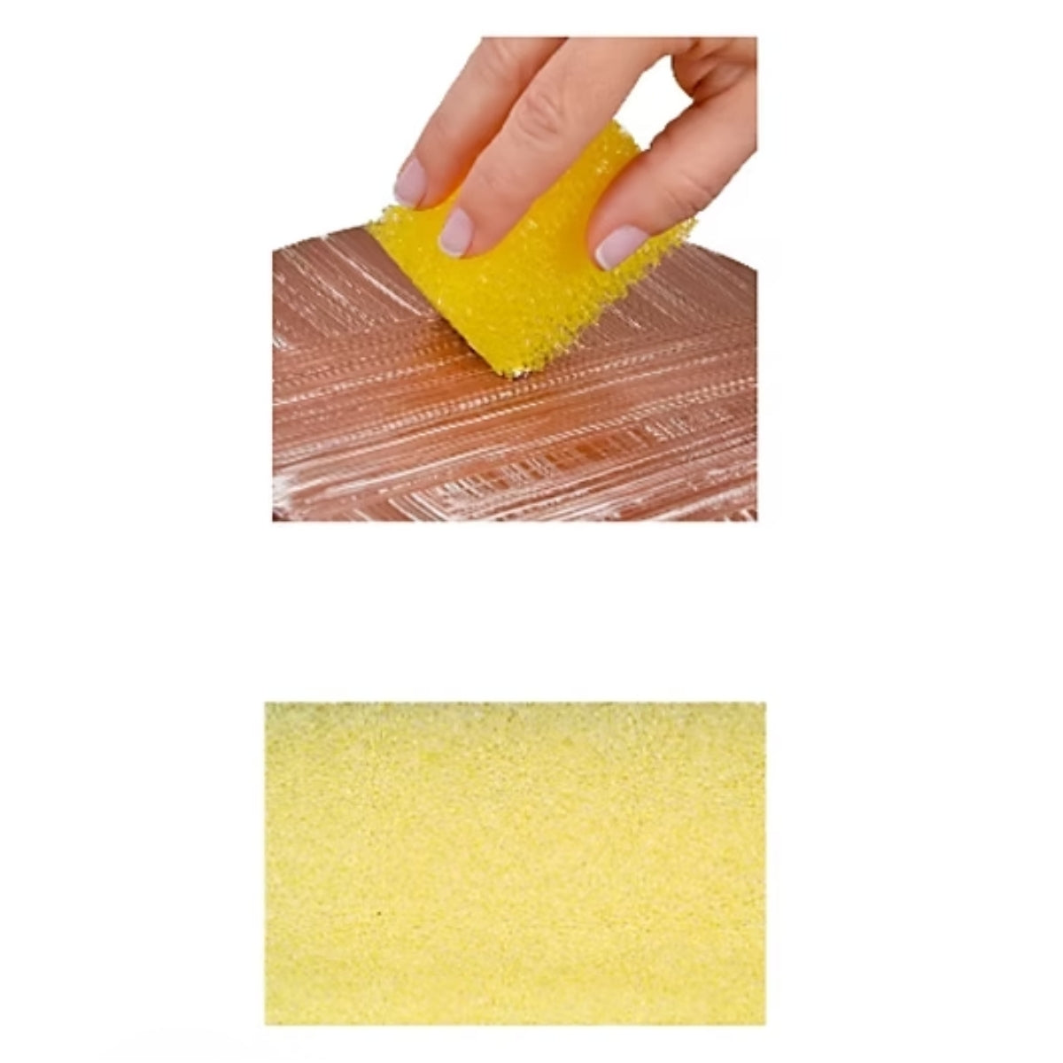 Esponja Texturizada para Stencil G Nº 1 com 1 Unidade 040 - Pigmeu