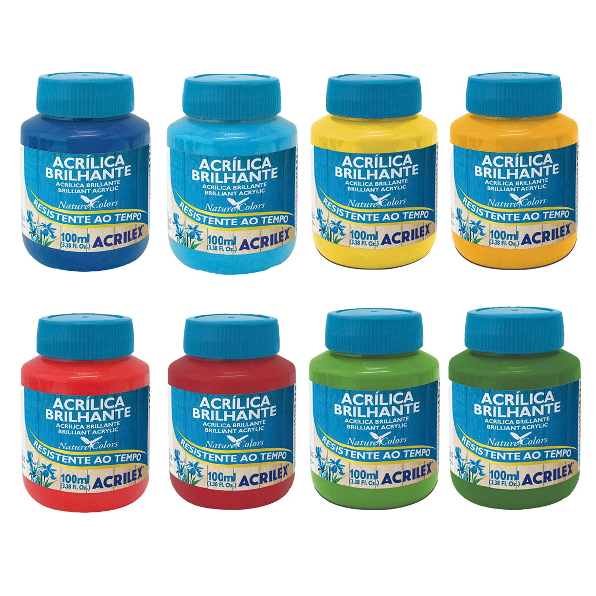 Tinta Acrilica Acrilex Brilhante 100ml 