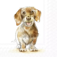 Guardanapo para Decoupage Ihr 33x33 Cachorro Fritz com 20 Unidades