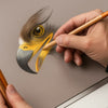 Conjunto para Desenho Cretacolor Eagle Drawing com 12 Peças - Águia 91400-2605