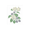 Stencil Opa 20x25cm - Flores e Amoras - 3408