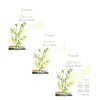 Bloco de Papel para Técnicas Mistas Hahnemühle Bamboo 265g/m²