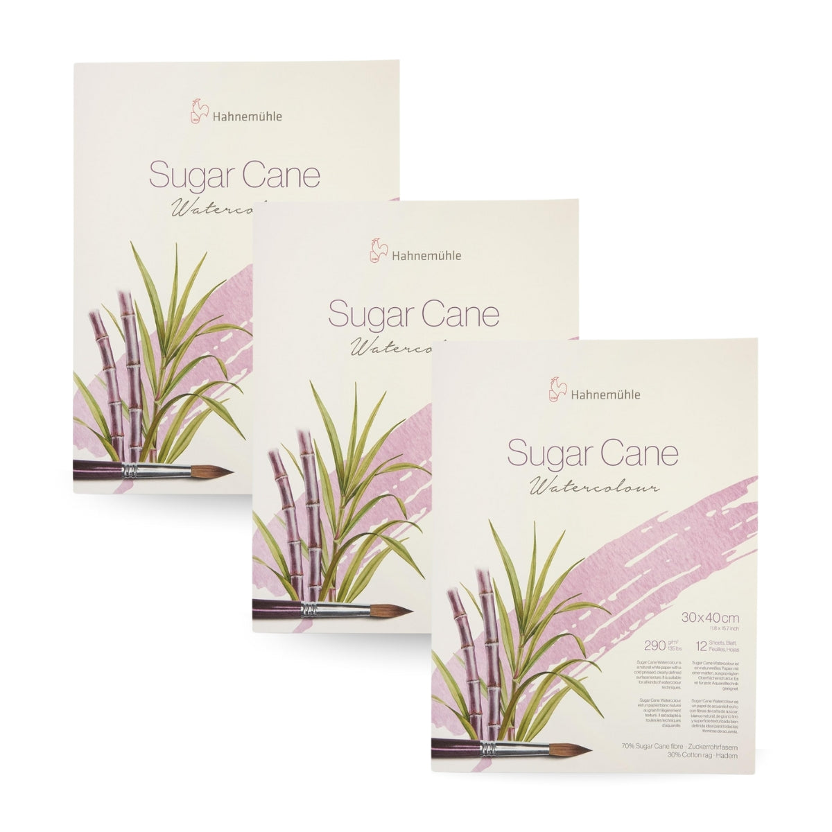 Bloco de Papel para Aquarela Hahnemühle Sugar Cane 290g/m² Textura Fina Com 12 Folhas