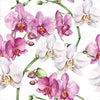 Guardanapo para Decoupage Ambiente 33x33cm com 2 Unidades - Flor Orquídea