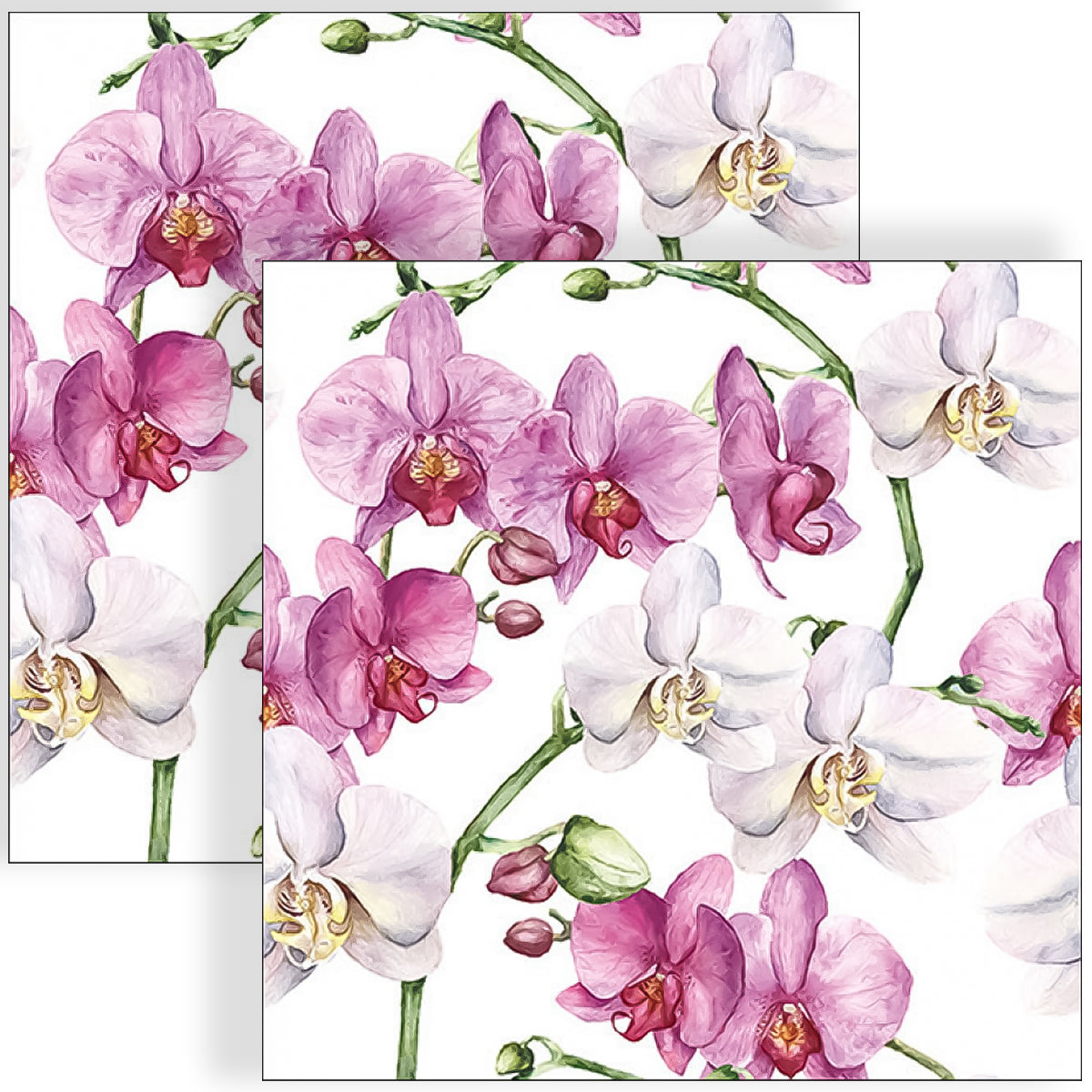 Guardanapo para Decoupage Ambiente 33x33cm com 2 Unidades - Flor Orquídea