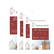 Bloco de Papel para Aquarela Hahnemühle Britannia 300g/m² Textura Rugosa com 12 Folhas