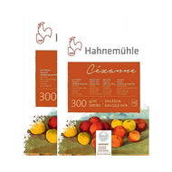 Bloco de Papel para Aquarela Hahnemühle Cézanne 300g/m² Textura Satinada com 10 Folhas