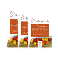 Bloco de Papel para Aquarela Hahnemühle Cézanne 300g/m² Textura Rugosa com 10 Folhas