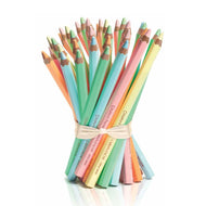 Lápis De Cor Jumbo Caran d'Ache Couleurs Pastel