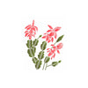 Stencil Opa 20x25cm - Flor-de-maio - 3543