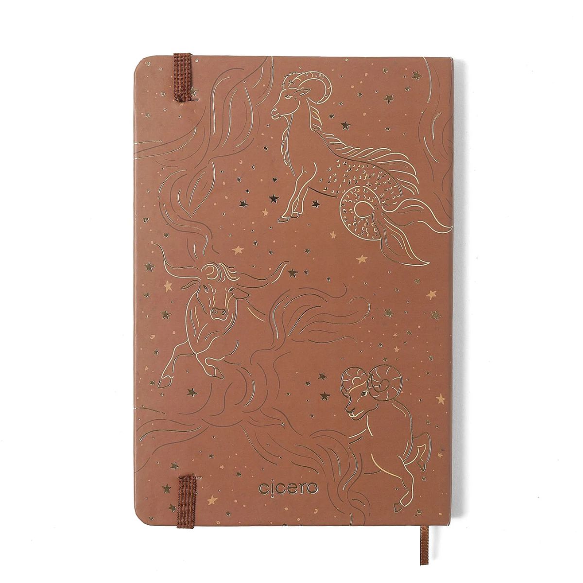 Agenda Planner Cicero 2026 Semanal Anotações 80g/m² 14x21cm 160 Páginas - Origens Terra