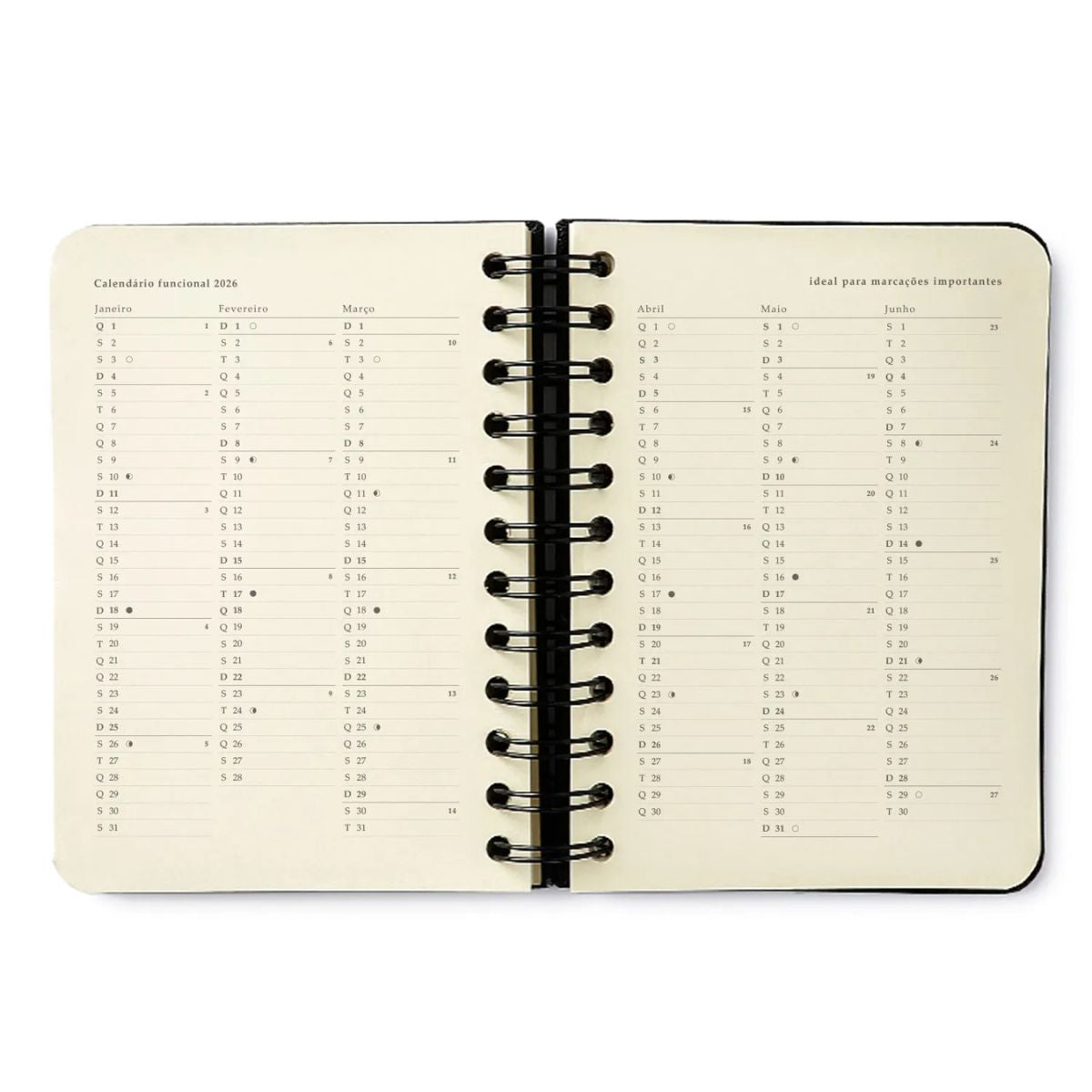 Agenda Planner Cicero Wire-o 2026 Diária 80g/m² 11,5x16cm com 180 Folhas - Melissa Color Bloomy