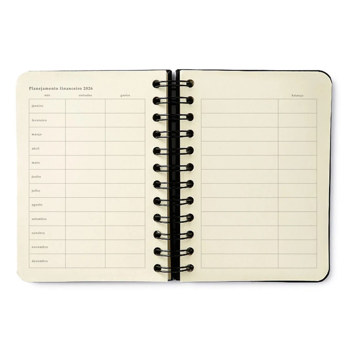 Agenda Planner Cicero Wire-o 2026 Diária 80g/m² 11,5x16cm com 180 Folhas - Melissa Color Bloomy