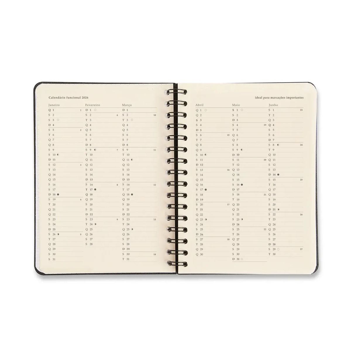 Agenda Planner Cicero Wire-o 2026 Diária 80g/m² A5 14,8x21cm 180 Folhas - Clássica Cafe