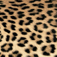 Guardanapo para Decoupage Ambiente 33x33cm com 20 Unidades - Pele de Leopardo