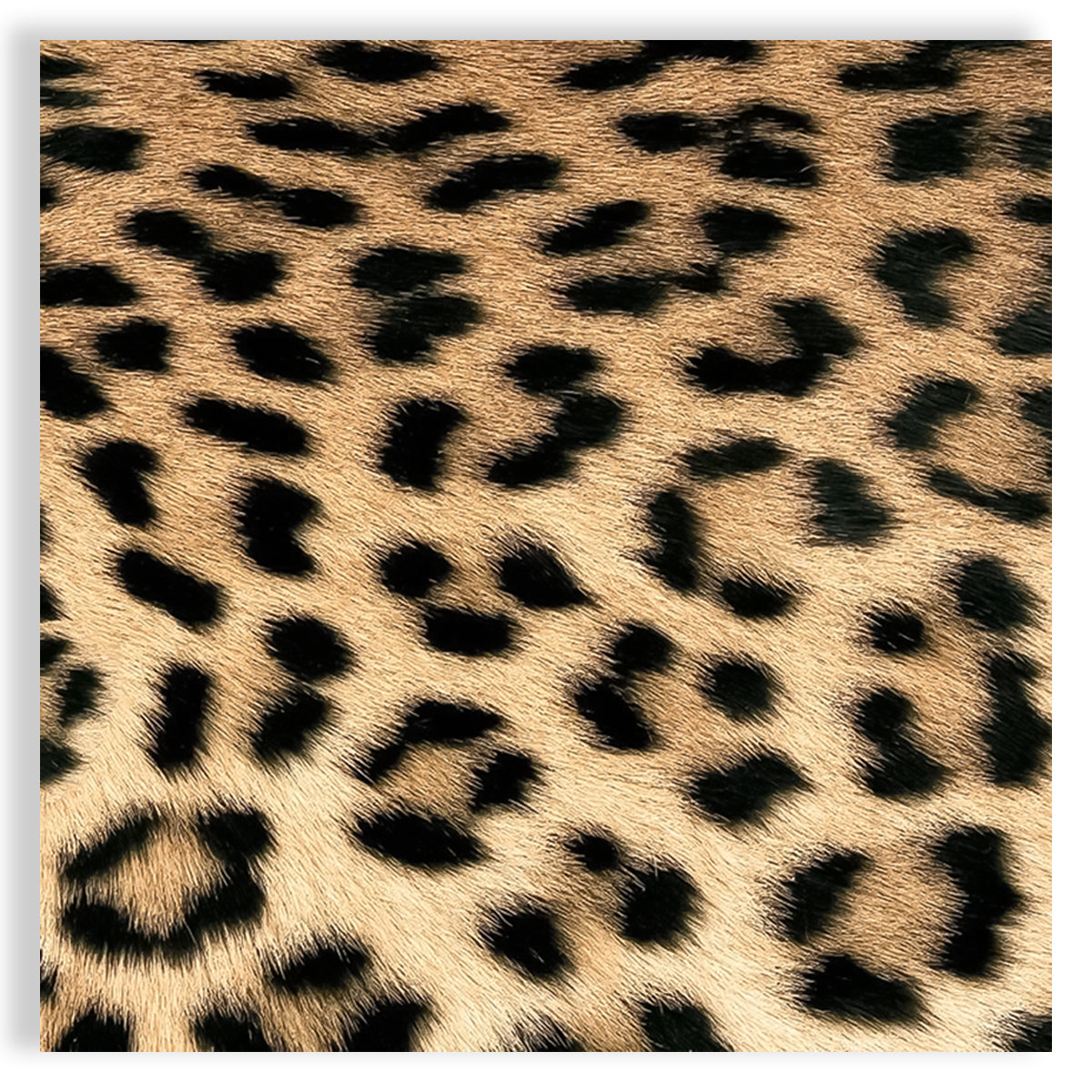Guardanapo para Decoupage Ambiente 33x33cm com 20 Unidades - Pele de Leopardo