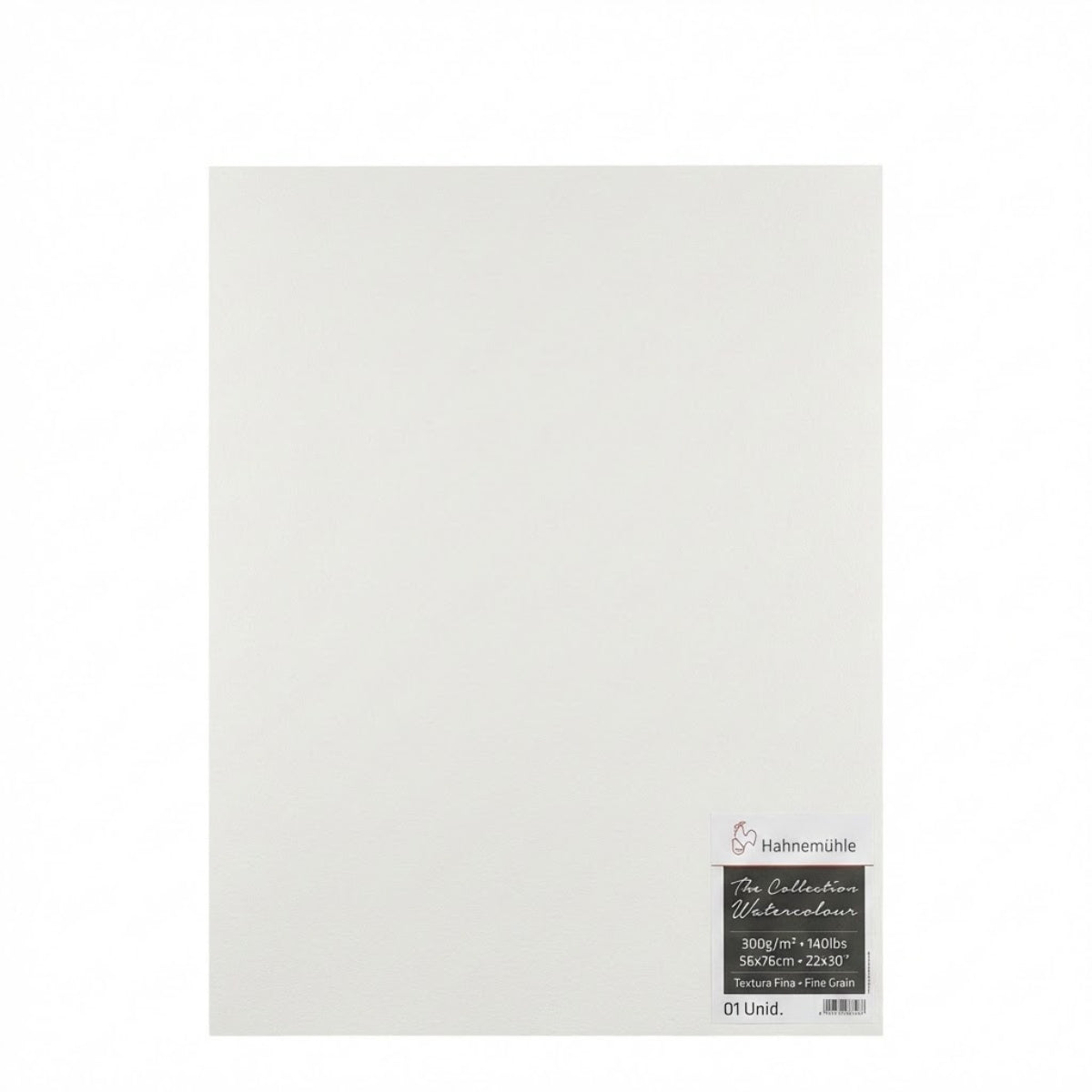 Folha Hahnemuhle The Collection Watercolour 300g/m2 56x76cm Textura Fina com 01 Unid