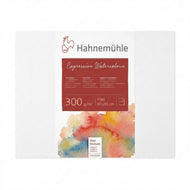 Folha Hahnemuhle Expression Watercolour 300g/m2 50x65cm Textura Fina com 01 Unid
