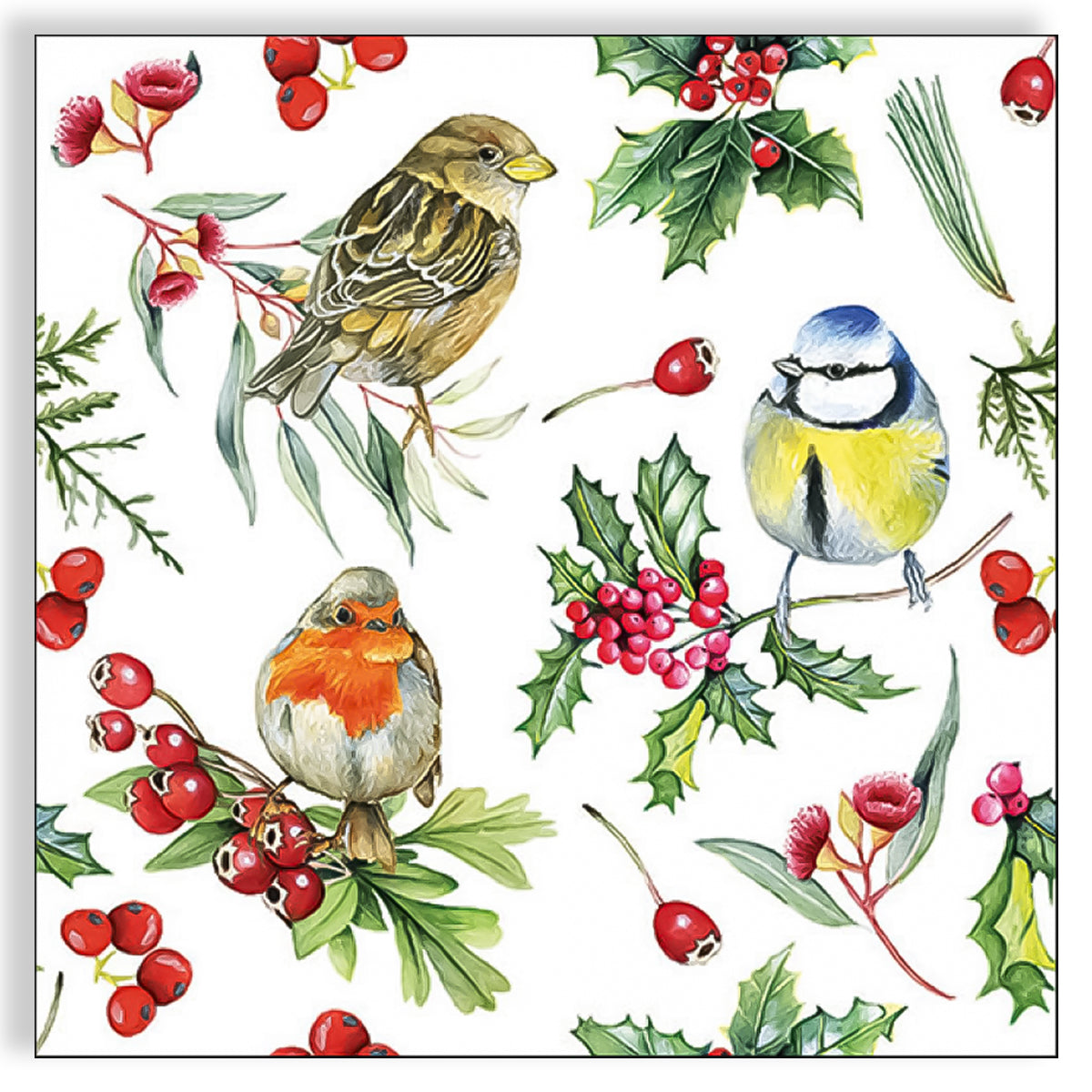 Guardanapo para Decoupage Ambiente 33x33cm com 20 Unidades - Pássaros e Frutas