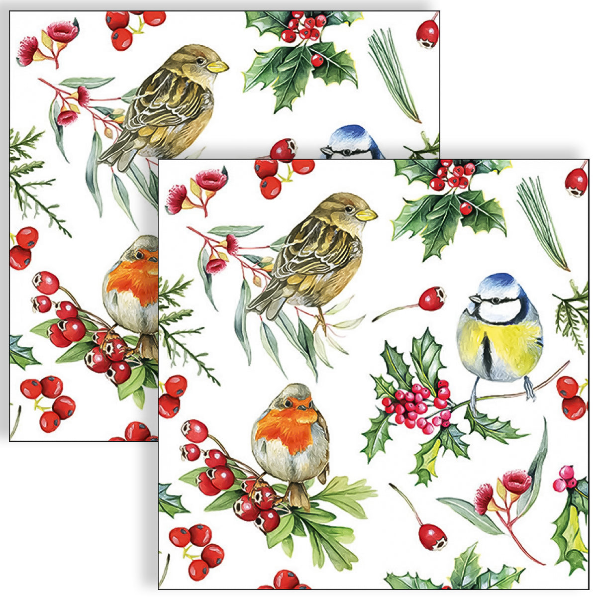 Guardanapo para Decoupage Ambiente 33x33cm com 2 Unidades - Pássaros e Frutas