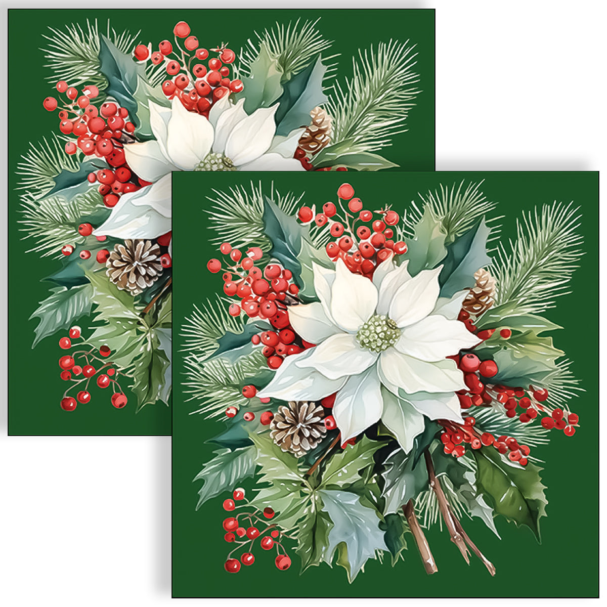 Guardanapo para Decoupage Ambiente 33x33cm com 2 Unidades - Plantas e Frutas