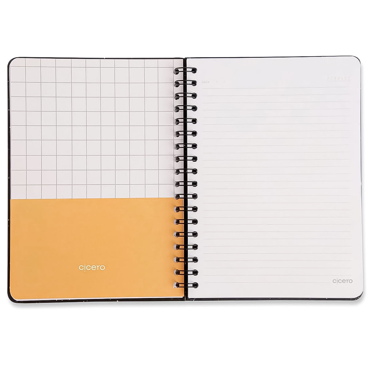 Caderno Colegial Cicero Espiral 173x240mm 80 Folhas Pautado Praia