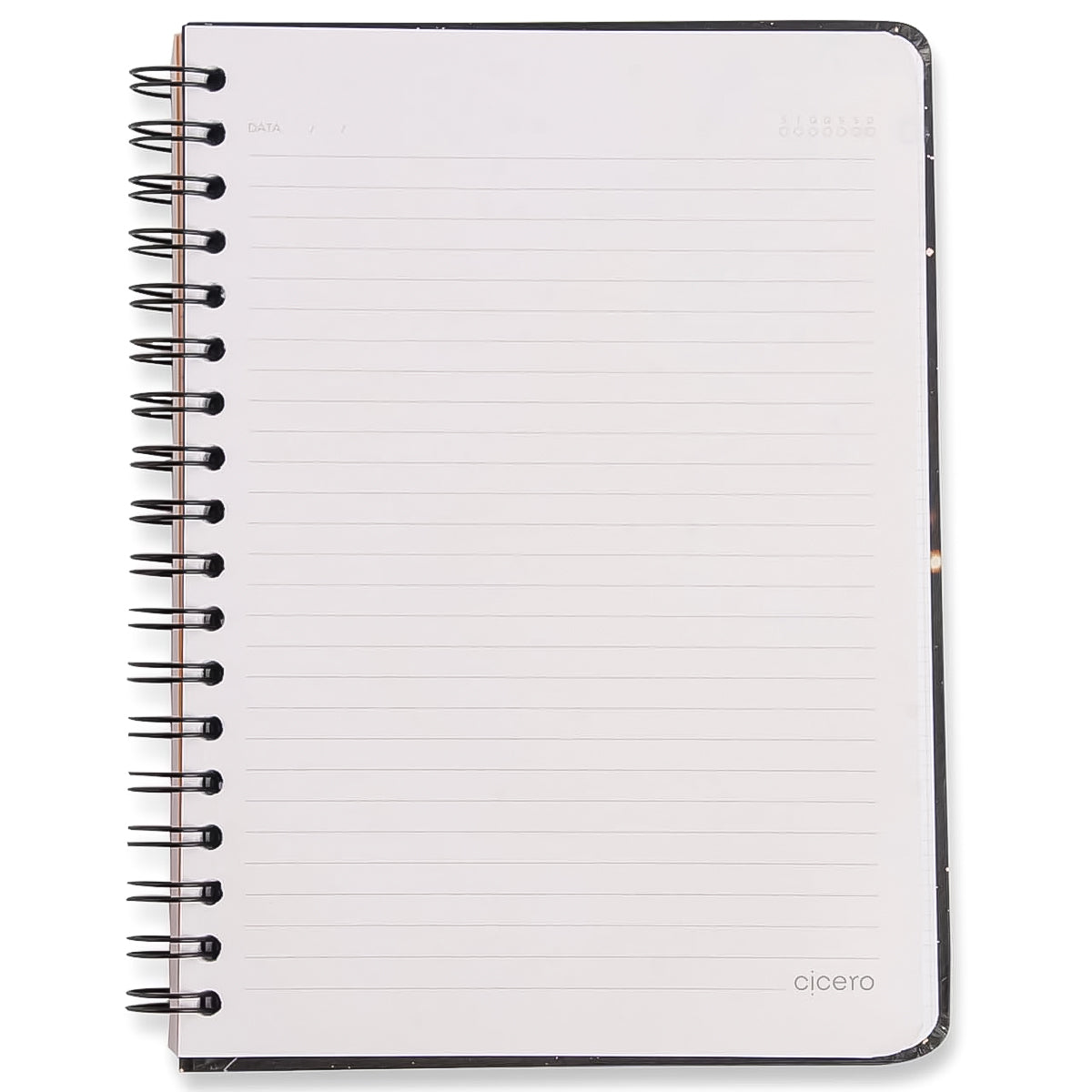 Caderno Colegial Cicero Espiral 173x240mm 80 Folhas Pautado Praia