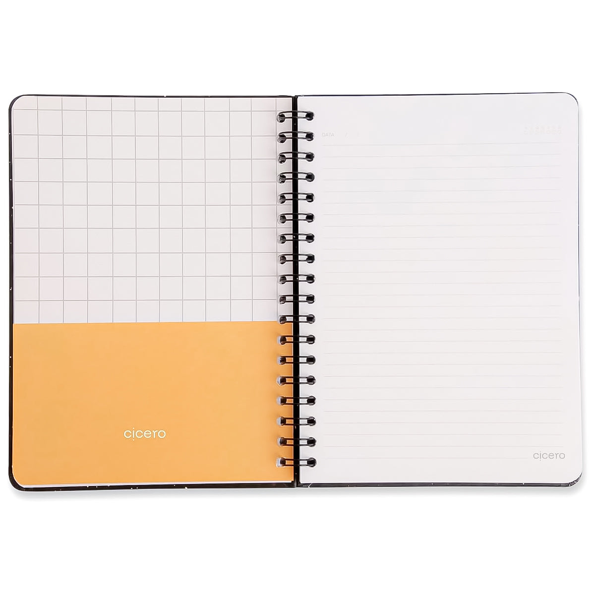 Caderno Colegial Cicero Espiral 173x240mm 80 Folhas Pautado Doce Florada