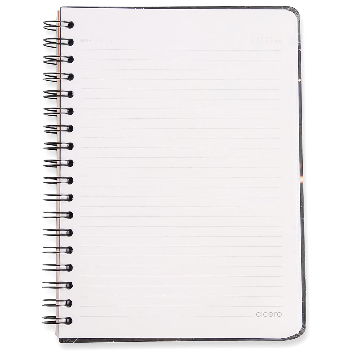Caderno Colegial Cicero Espiral 173x240mm 80 Folhas Pautado Doce Florada